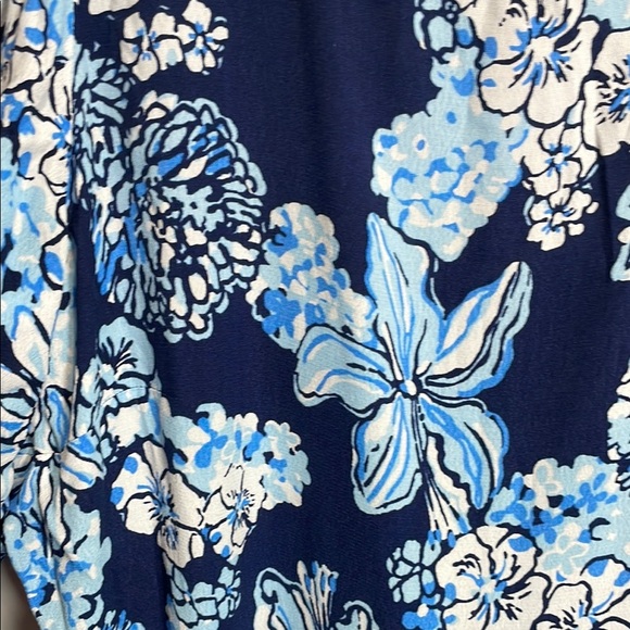 Lilly Pulitzer Blue and White Sundress with Cuffed 3/4 Sleeves - Picture 5 of 14